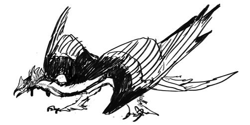 bird